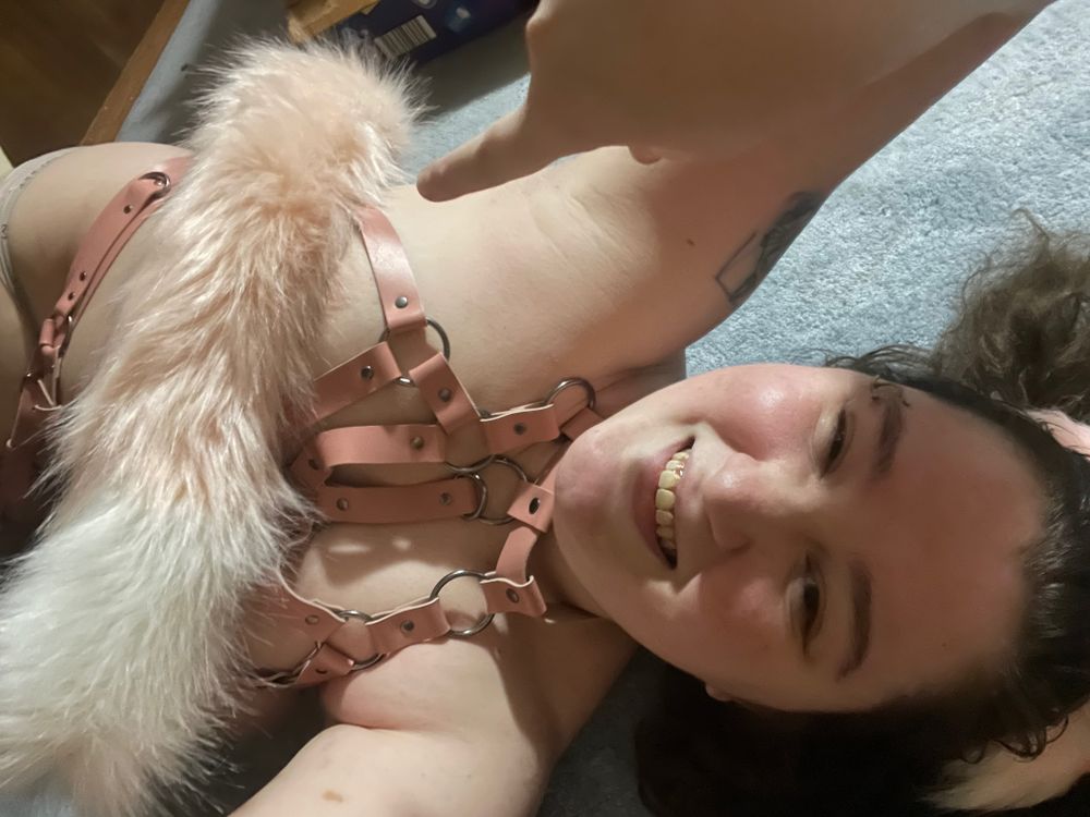 kittenwine OnlyFans profile picture