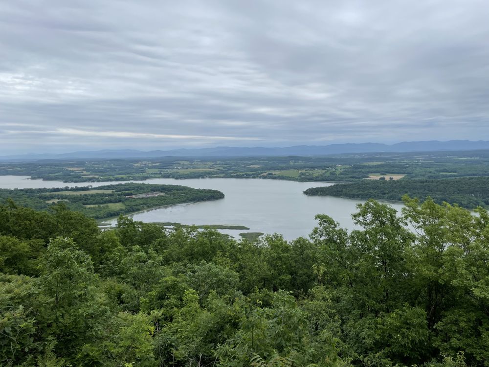 divinity_rose OnlyFans - Stats, Graphs, Photos & Profile Comparisons