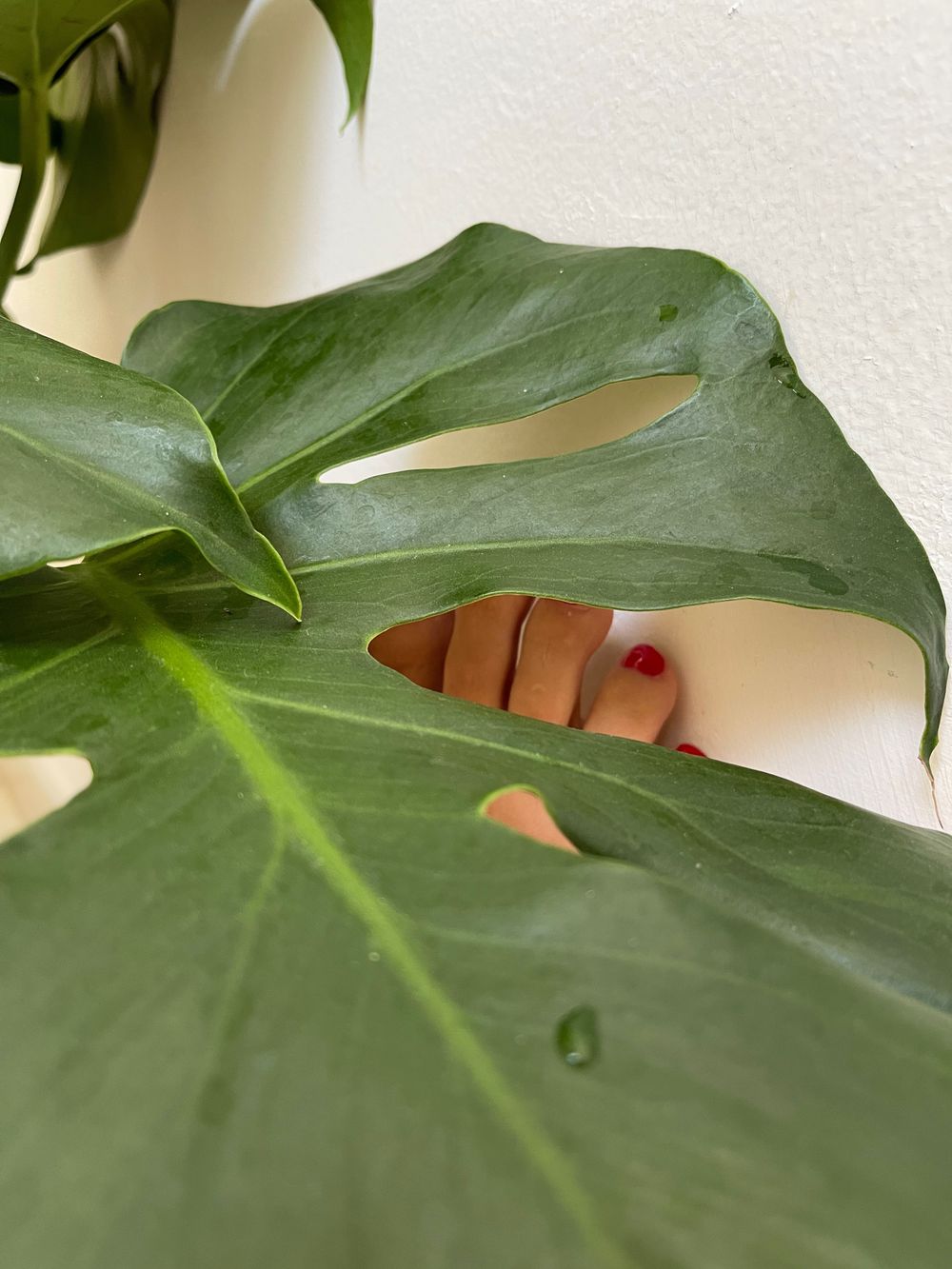 onlysole OnlyFans profile picture