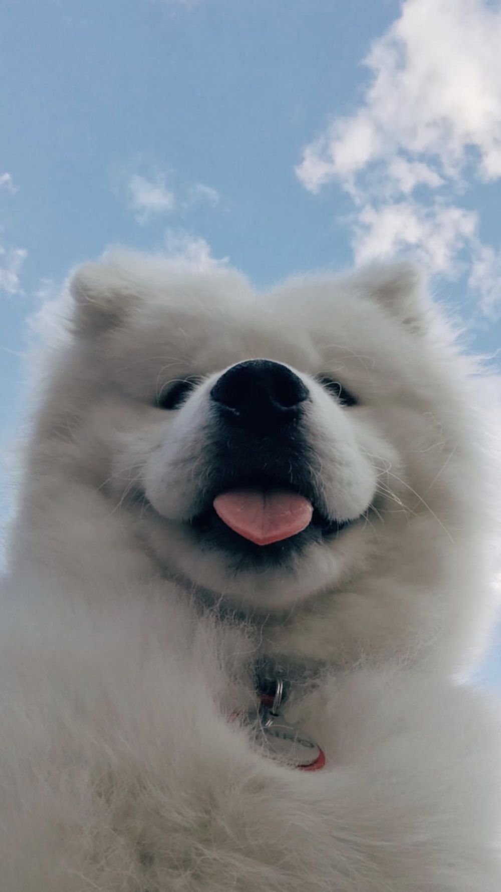 oyiri OnlyFans profile picture