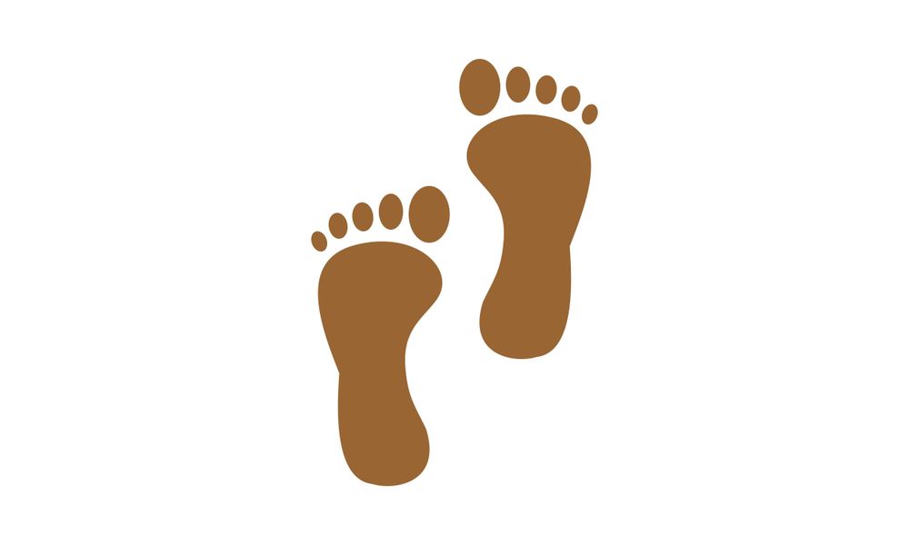 feetbyariaa OnlyFans profile picture