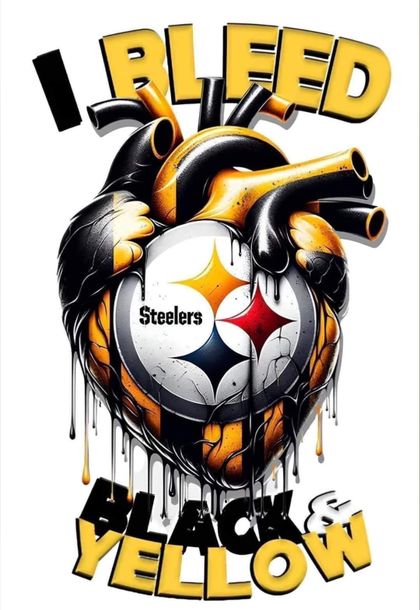 steelersguy112 OnlyFans picture