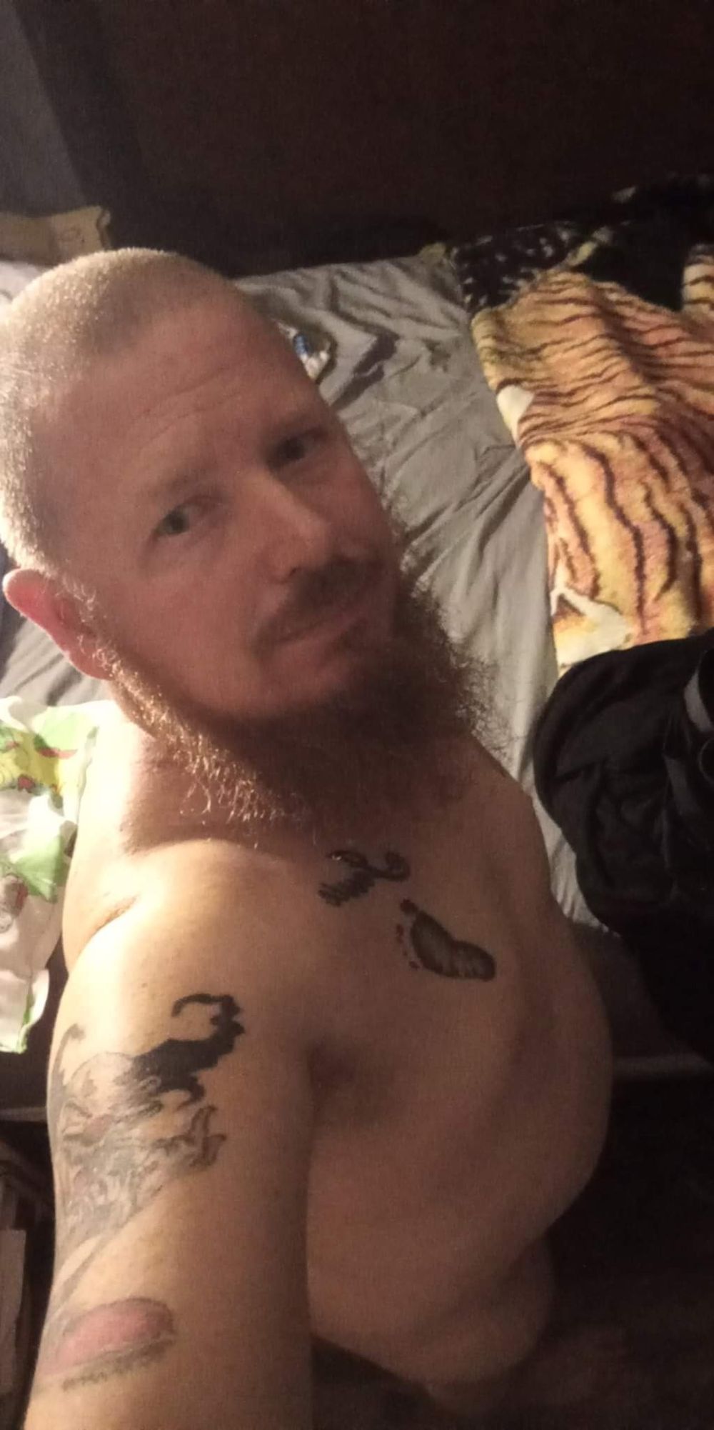 donbry26 OnlyFans profile picture