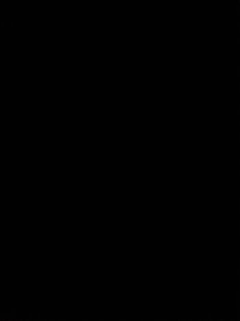 BigDRon