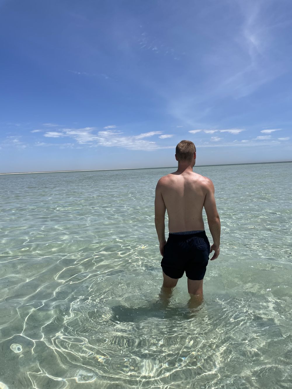 dingo08 OnlyFans profile picture