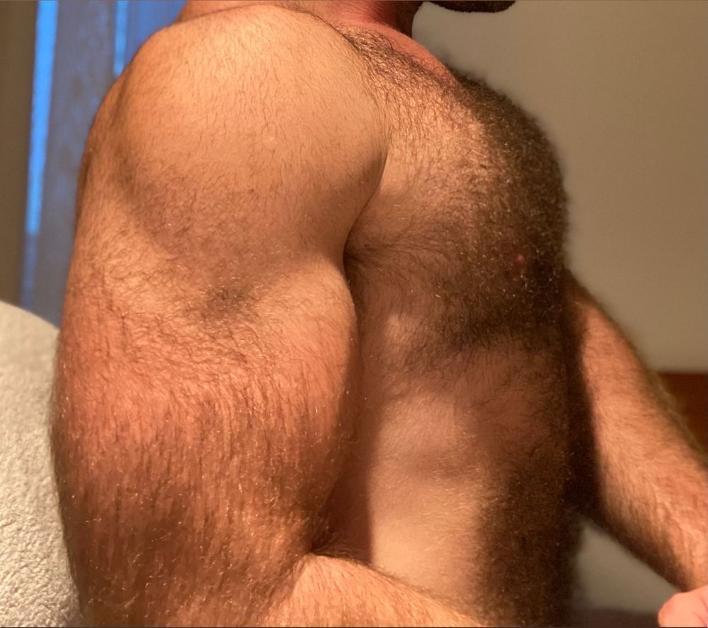 approachingbearstatus OnlyFans profile picture