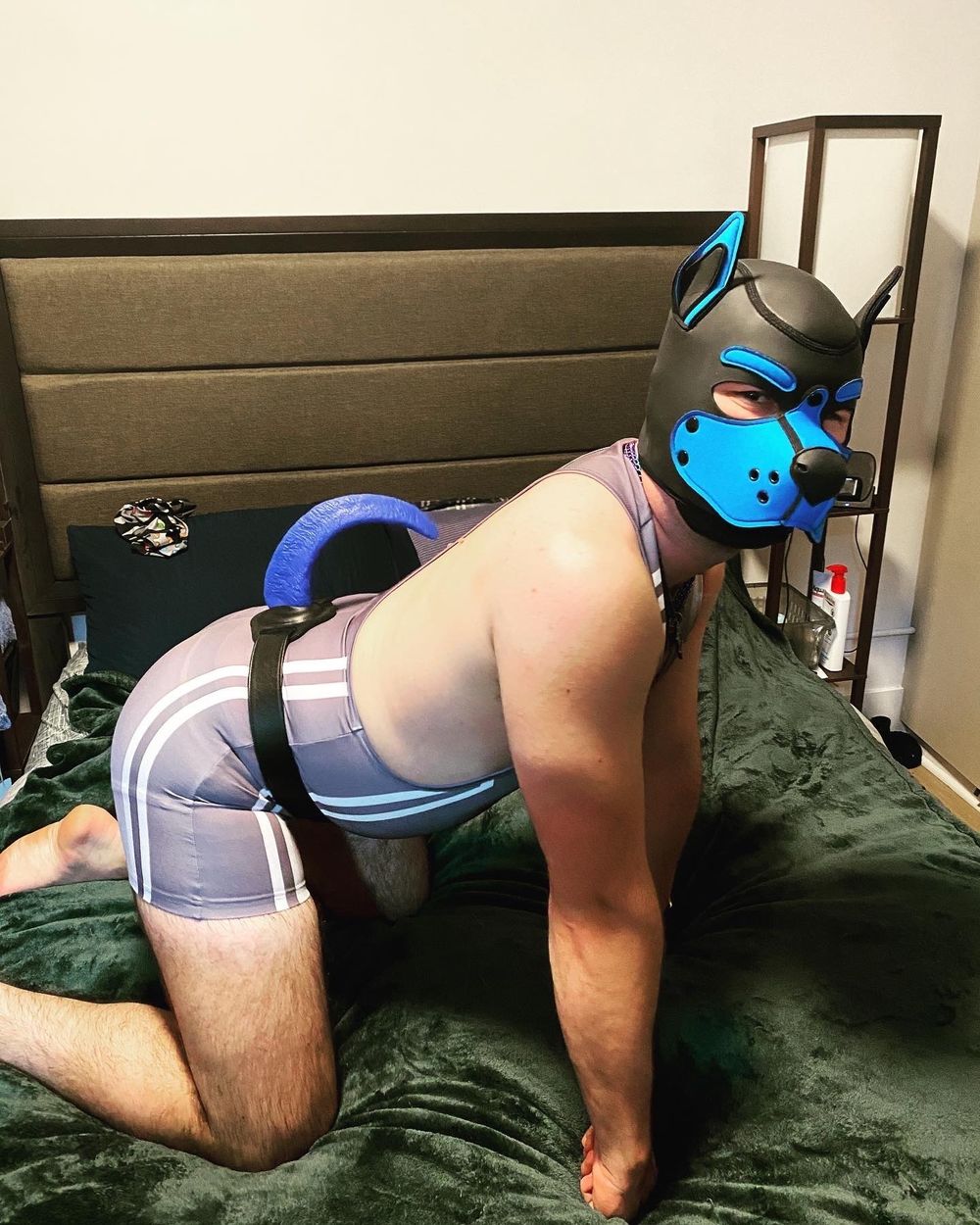 pup_patch OnlyFans profile picture