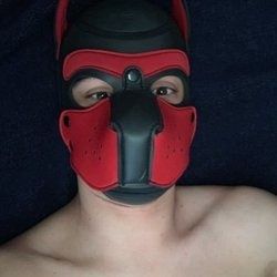 pup101 OnlyFans picture