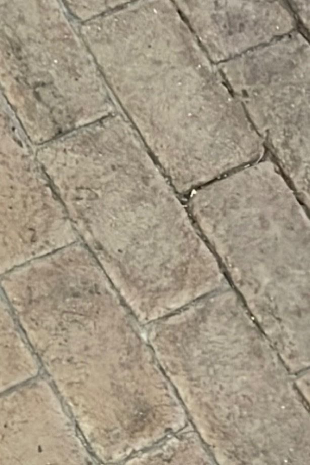 u268600235 OnlyFans profile picture