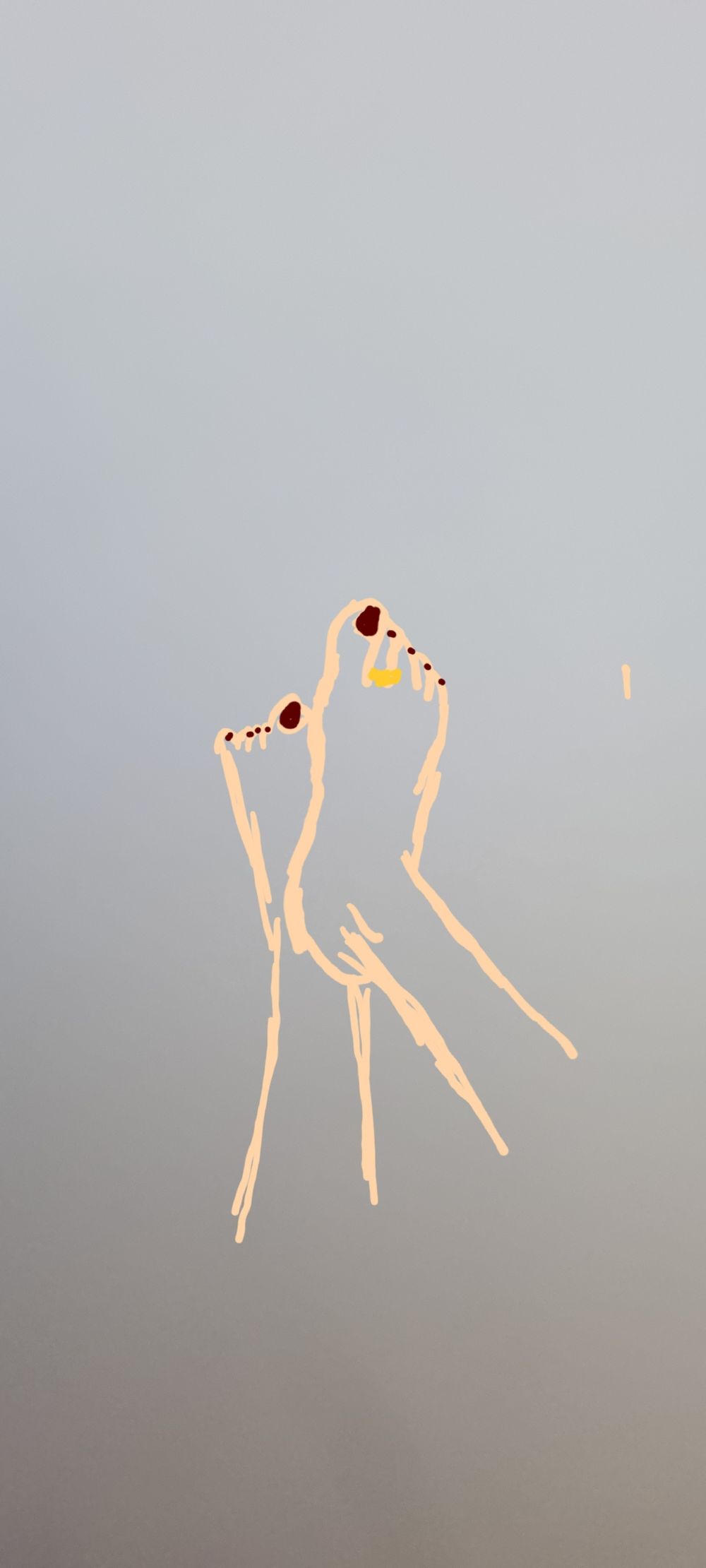 feetishist_pied OnlyFans profile picture