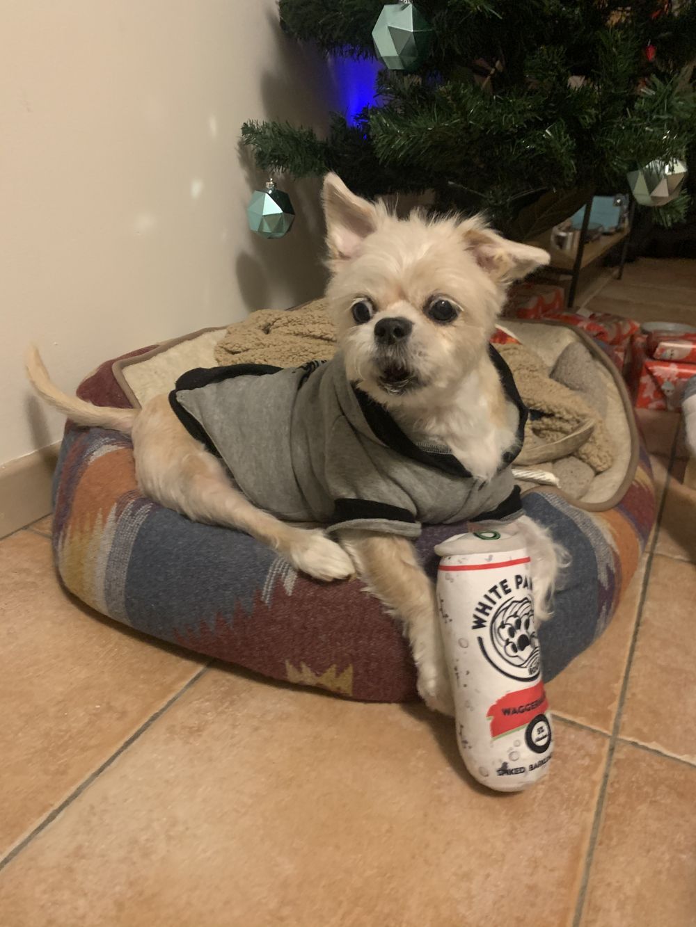 gracethegoodpup OnlyFans profile picture