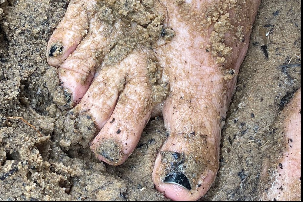 dirtysluttyfeet OnlyFans profile picture