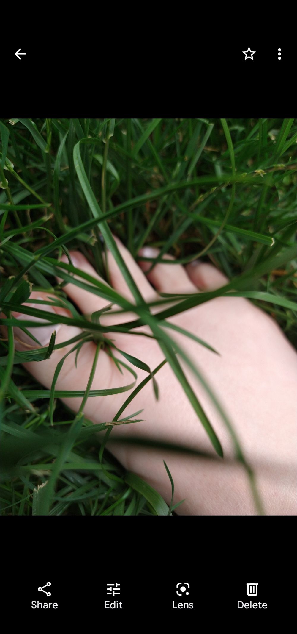 twinkle_feet_toes OnlyFans profile picture
