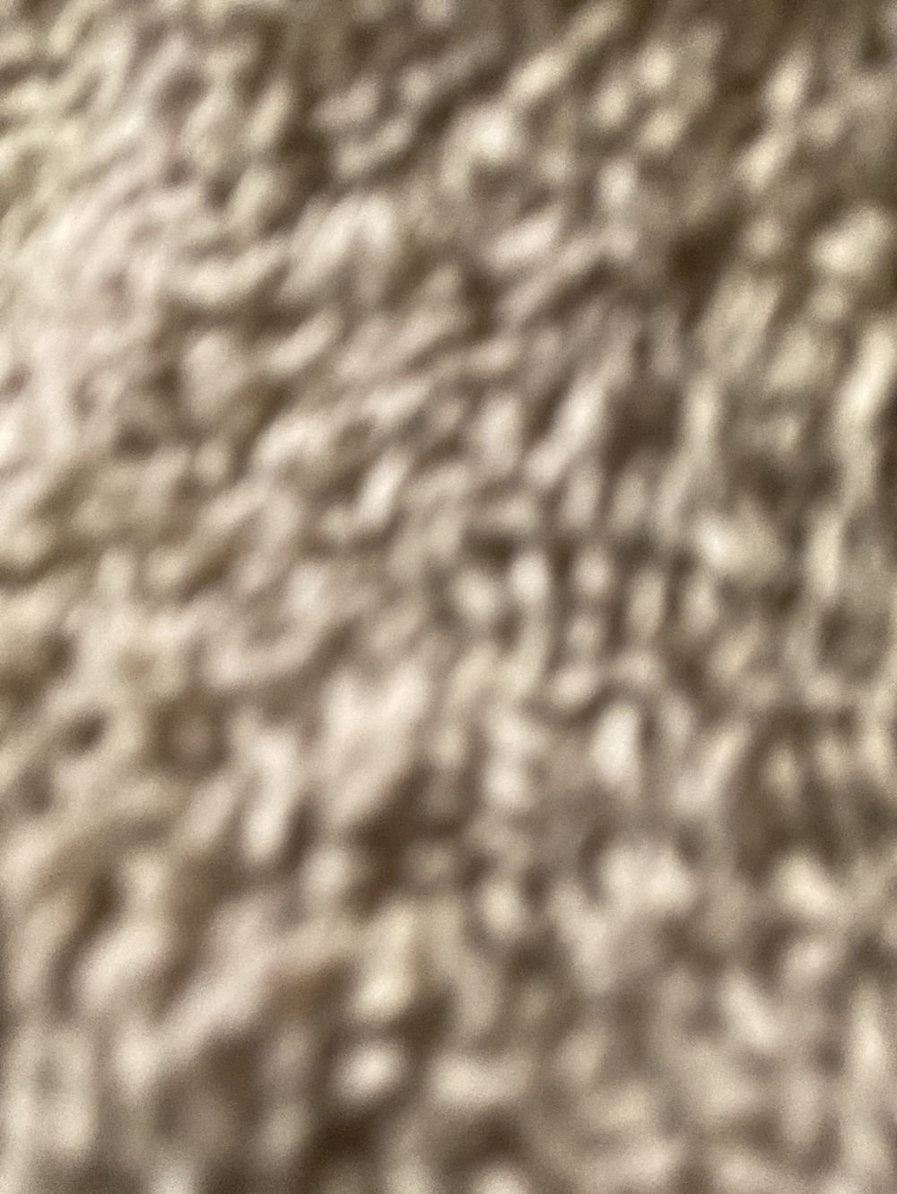forbbclovers OnlyFans profile picture