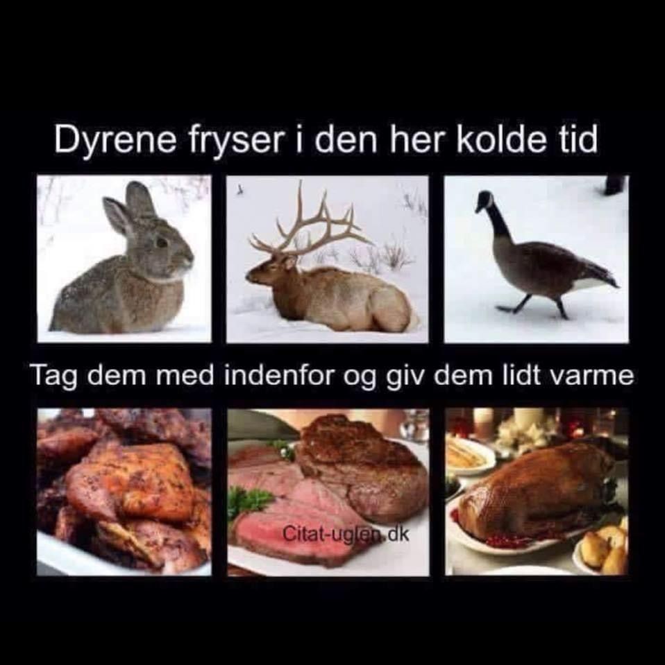 danishcockmaster OnlyFans profile picture