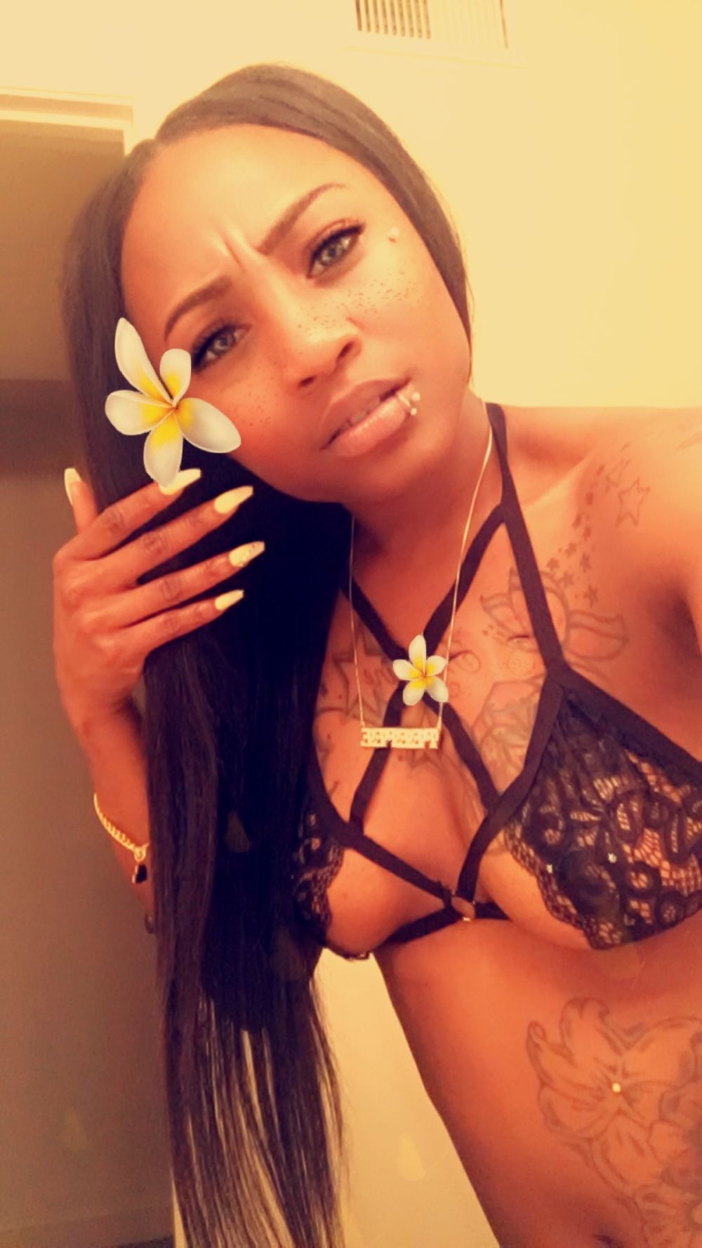 feefeedavet OnlyFans profile picture