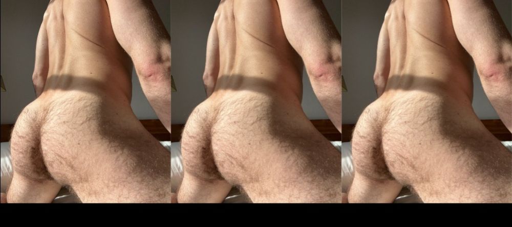 musclemark OnlyFans profile picture