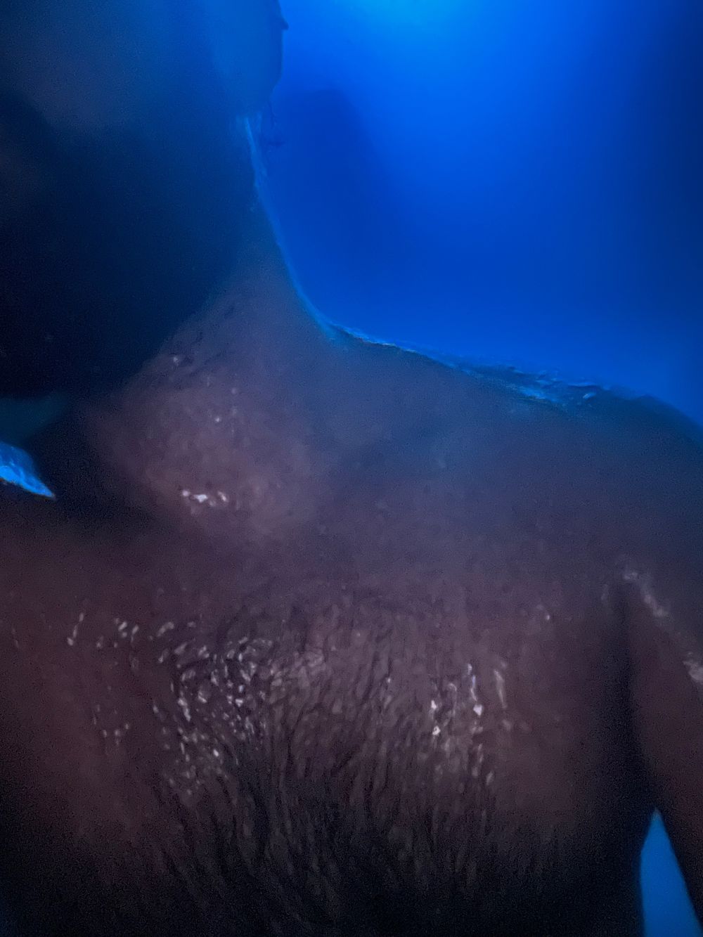otterbeardo OnlyFans profile picture