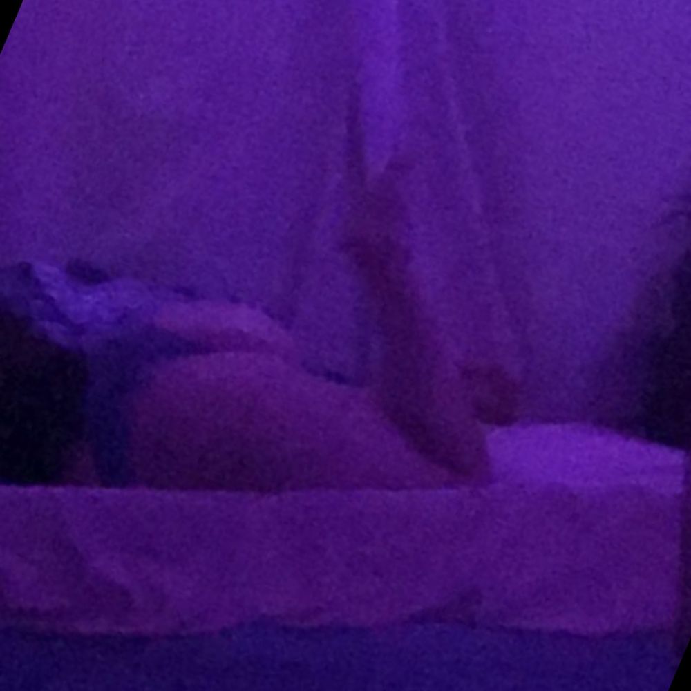 munecaesposaa OnlyFans profile picture