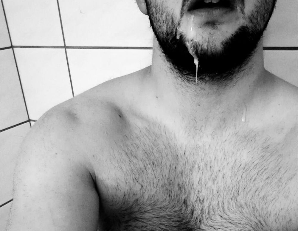 swissbear_3348 OnlyFans profile picture