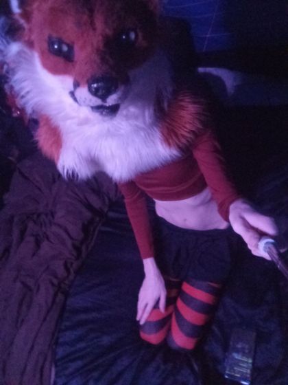 shadowthefox OnlyFans picture