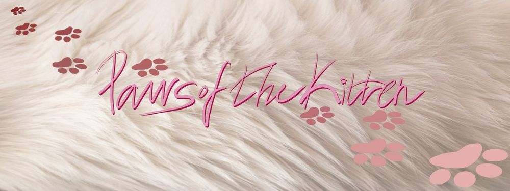 pawsofthekitten OnlyFans profile picture