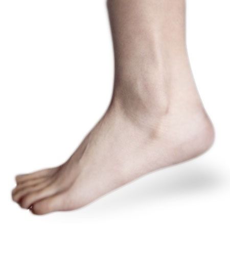 hairyankles1.1 OnlyFans profile picture