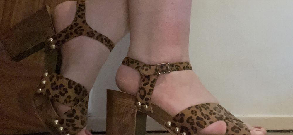 dniangel OnlyFans profile picture