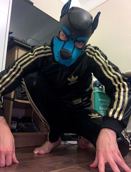 pup_valto OnlyFans picture