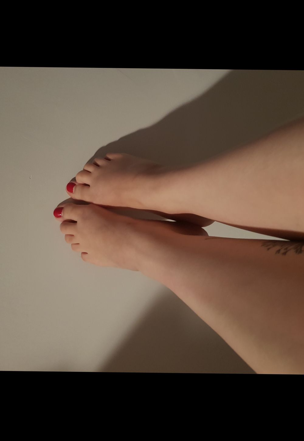alicexxxfeet OnlyFans profile picture