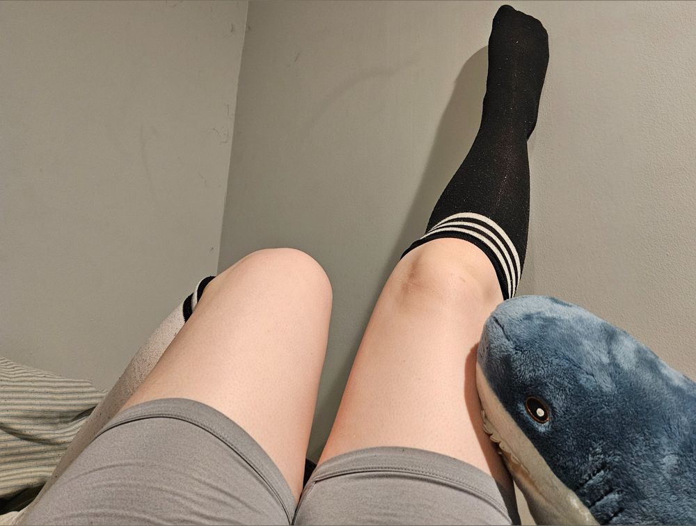 bleuchikbabe OnlyFans profile picture
