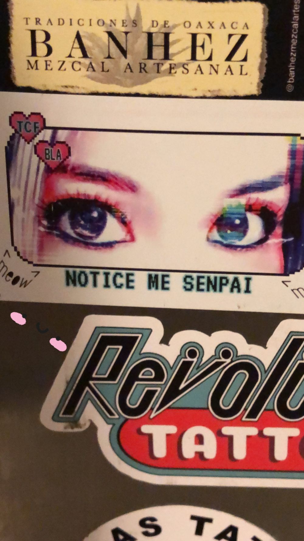 reyleneirl OnlyFans profile picture