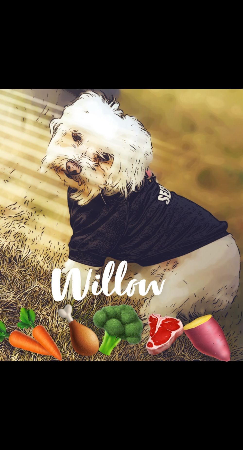 willowzdogfood OnlyFans profile picture