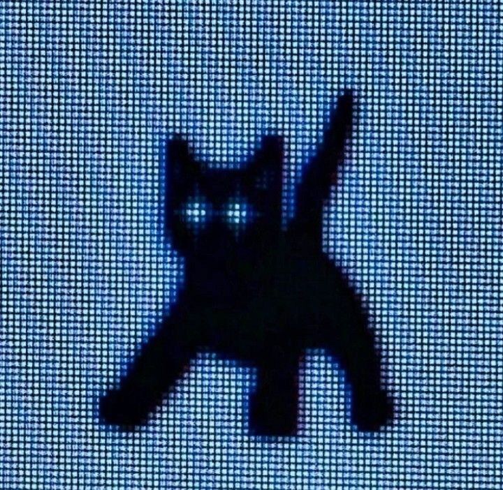 qtwittabooty OnlyFans profile picture