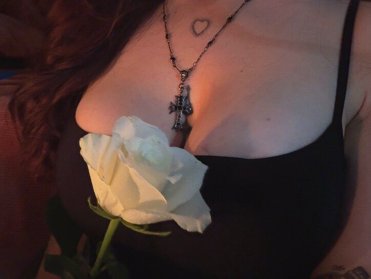 meganfinch OnlyFans profile picture