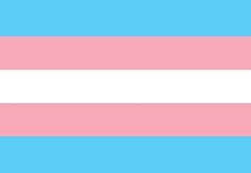 transgirlusn OnlyFans profile picture