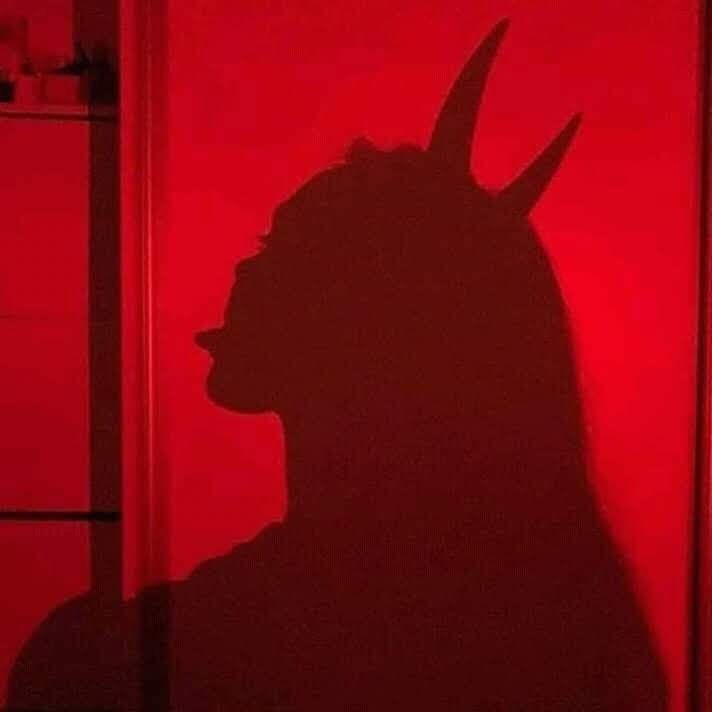 daymartorres OnlyFans profile picture