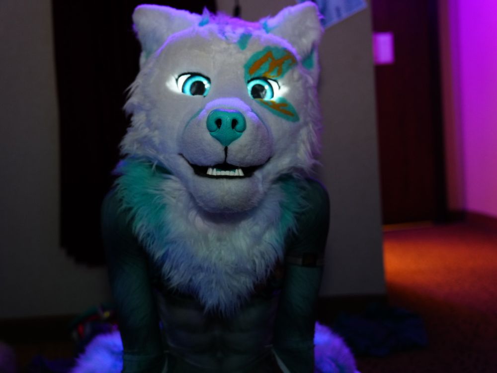 zakfusky OnlyFans profile picture
