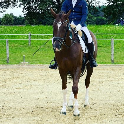 equestrian_twinkle OnlyFans picture