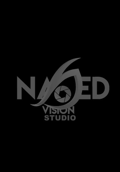 nakedvisionstudio OnlyFans picture