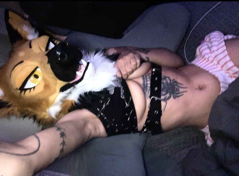 waspbie OnlyFans profile picture