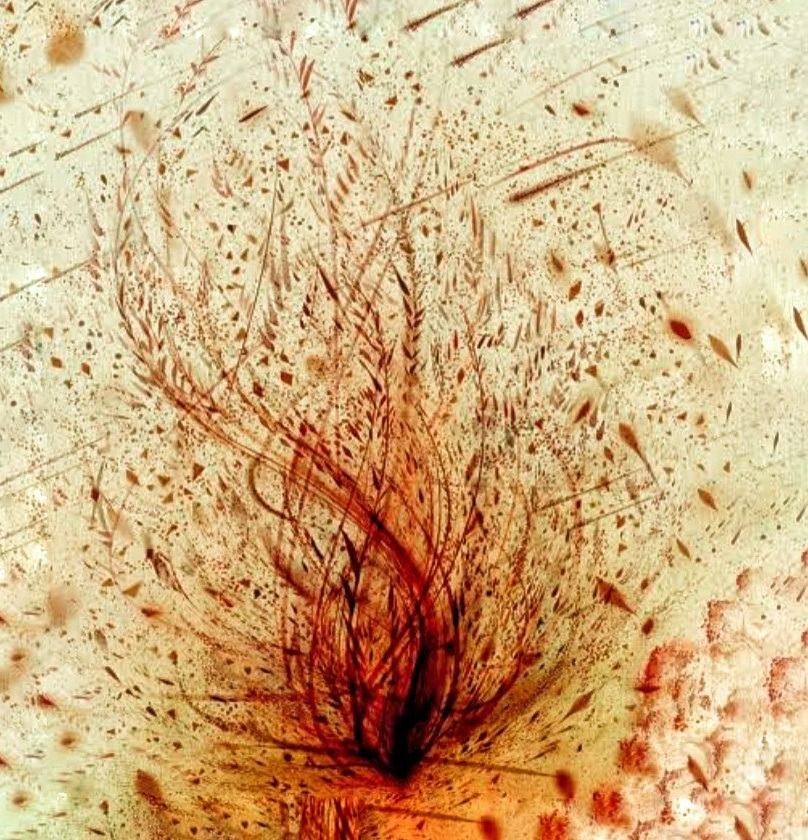 eu_steven OnlyFans profile picture