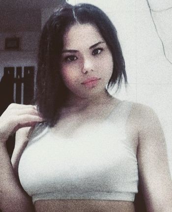 Pisica