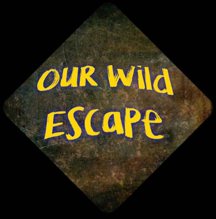 ourwildescape OnlyFans picture