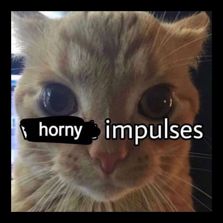 slvtnvgget OnlyFans profile picture
