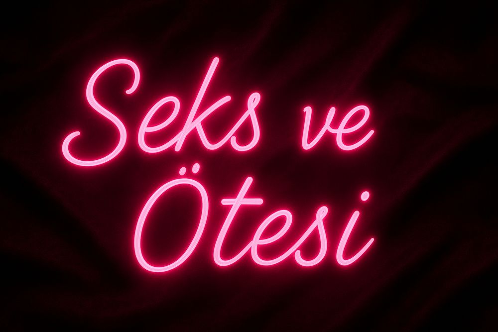 seksveotesi OnlyFans profile picture