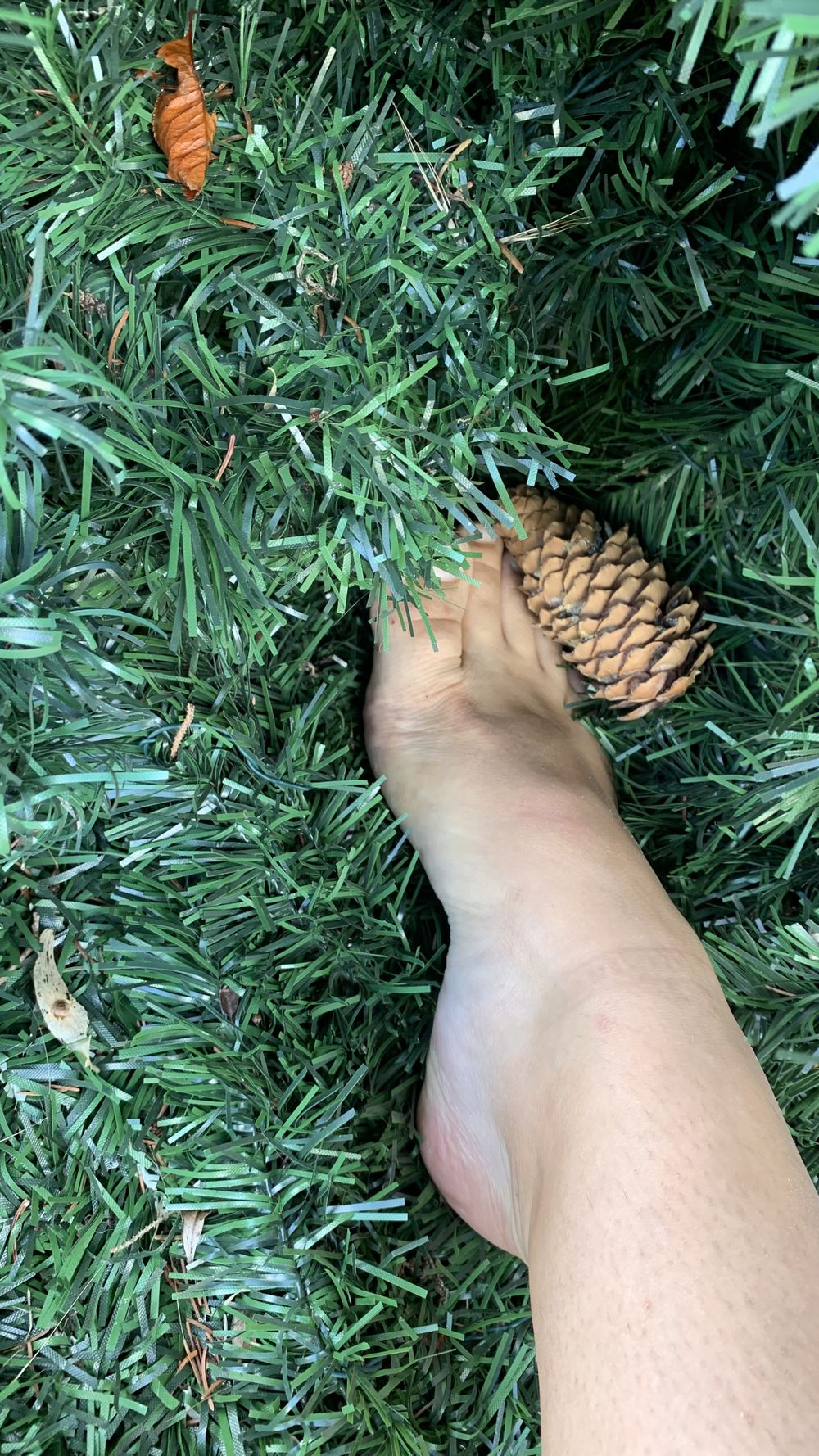 littlebittle OnlyFans profile picture