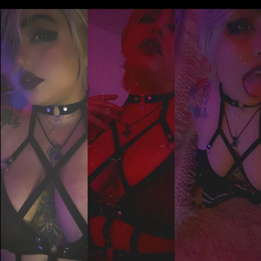notalyycat OnlyFans profile picture