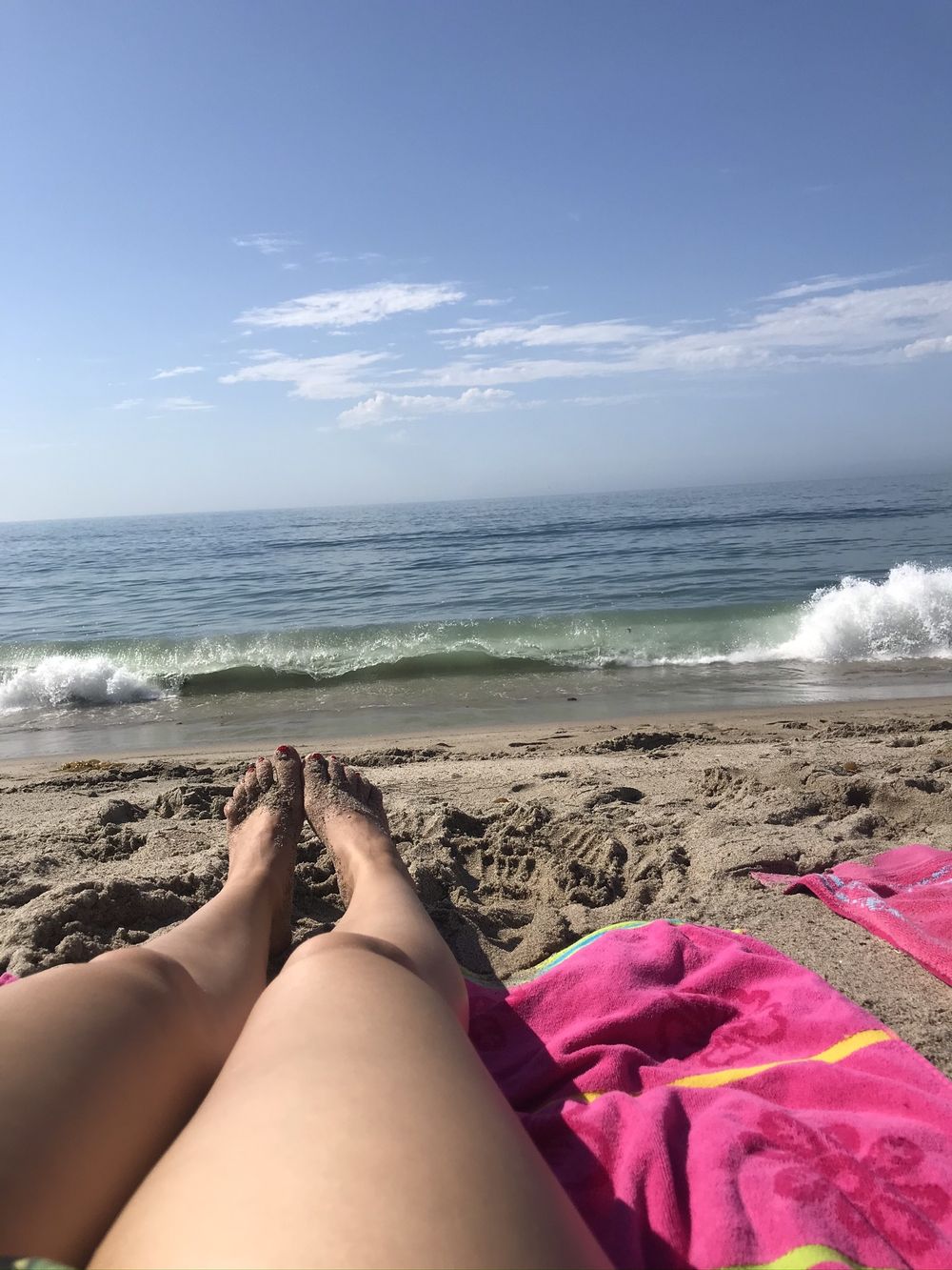 calicakes310 OnlyFans profile picture