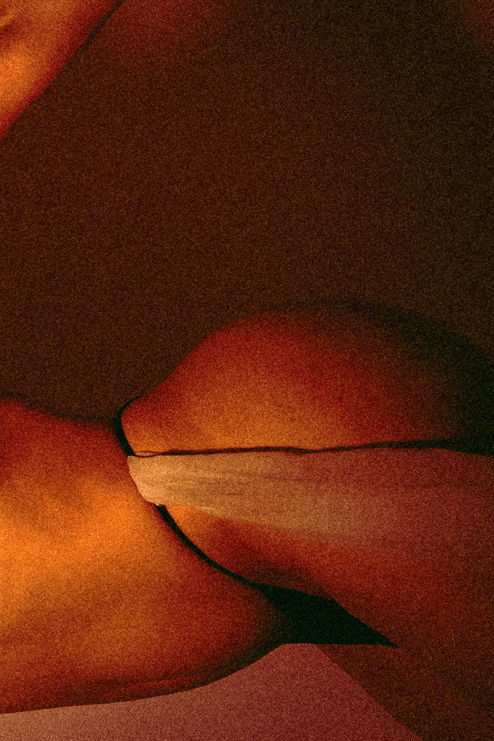 miabarbosaof OnlyFans profile picture